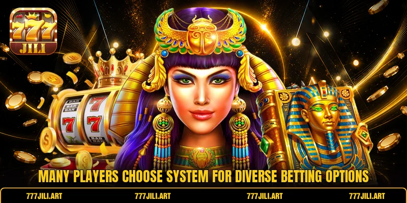 Many players choose system for diverse betting options