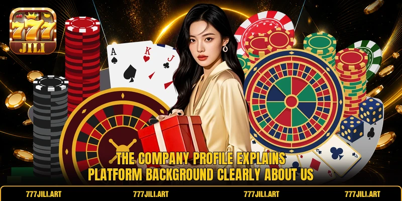The company profile explains platform background clearly about us