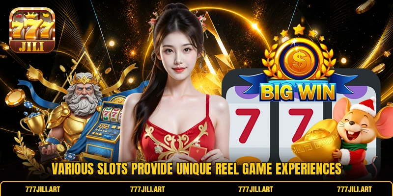 Various slots provide unique reel game experiences