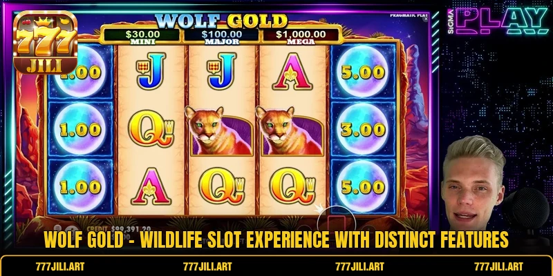 Wolf Gold - Wildlife Slot Experience With Distinct Features